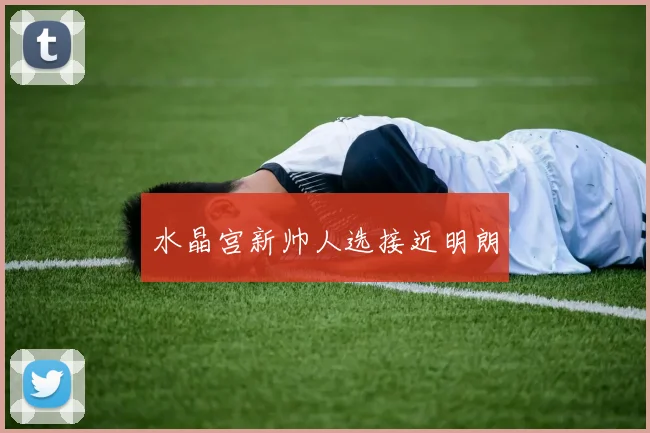 水晶宫新帅人选接近明朗