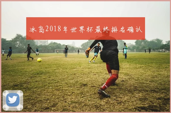 冰岛2018年世界杯最终排名确认