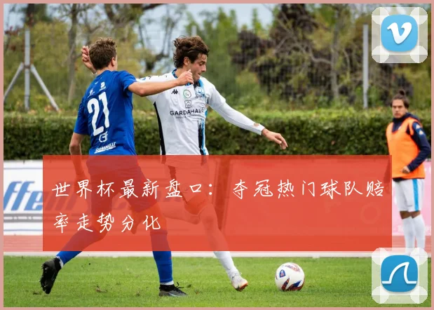 世界杯最新盘口：夺冠热门球队赔率走势分化