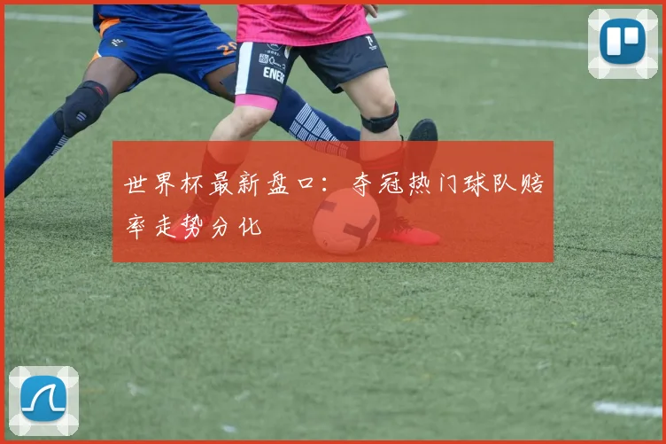 世界杯最新盘口：夺冠热门球队赔率走势分化