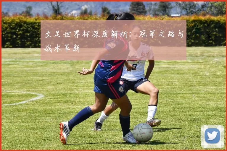 女足世界杯深度解析：冠军之路与战术革新