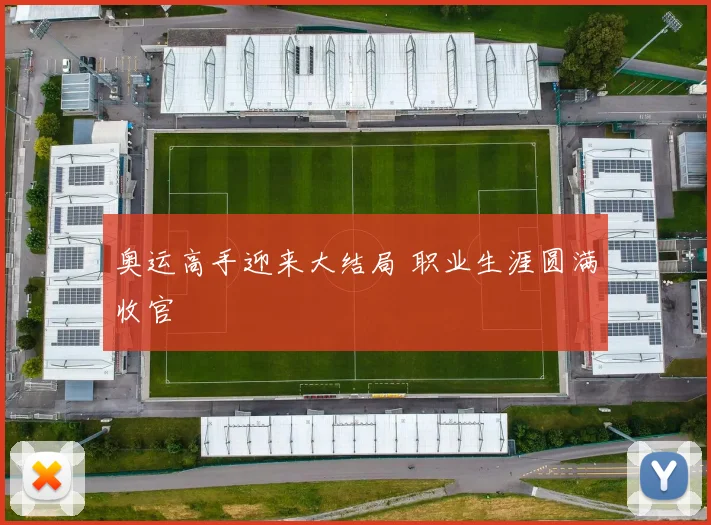 奥运高手迎来大结局 职业生涯圆满收官