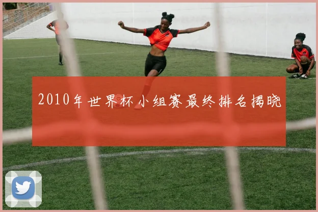 2010年世界杯小组赛最终排名揭晓